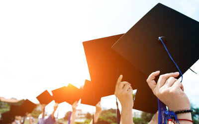 IB Consulting